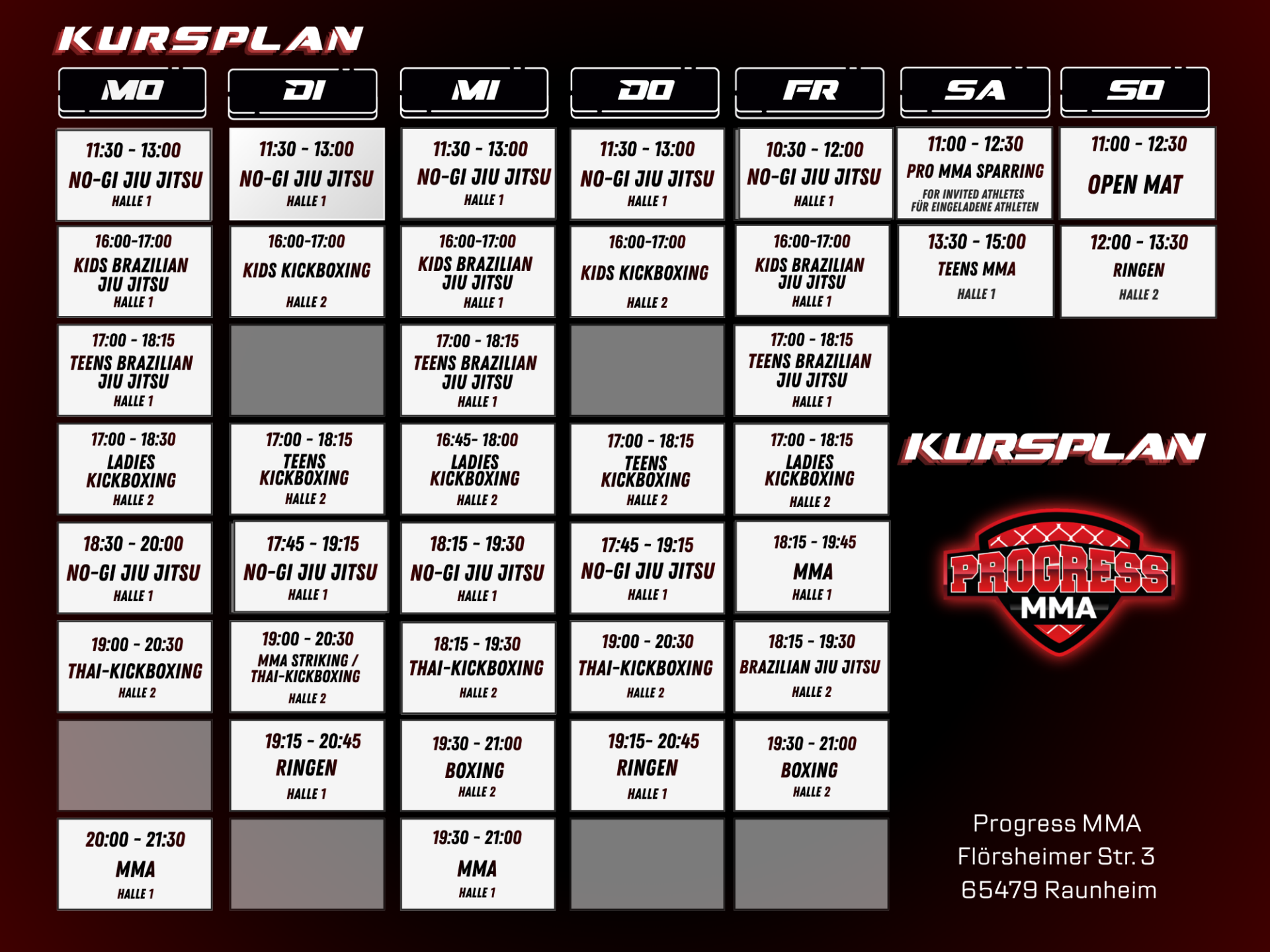 Kursplan Progress MMA Raunheim